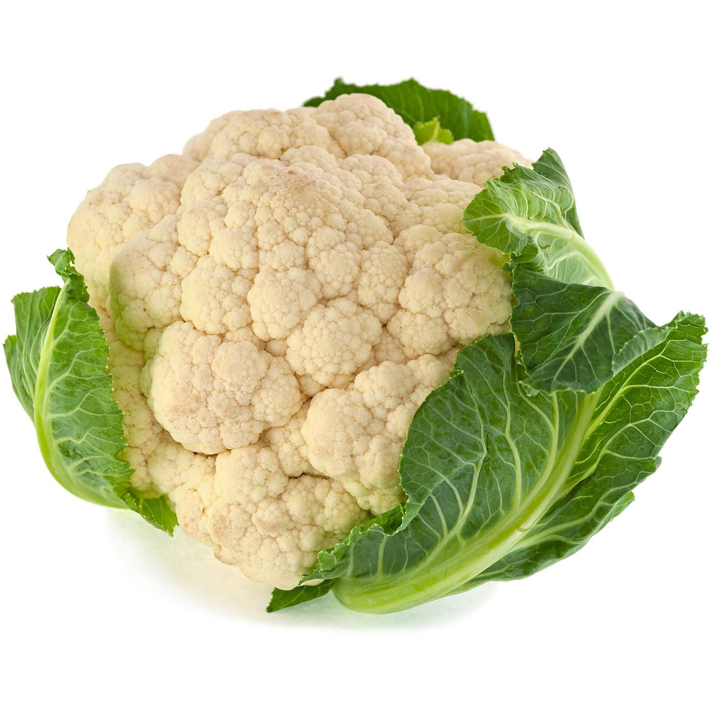 Κουνουπίδι εγχώριο - floating thumbnail