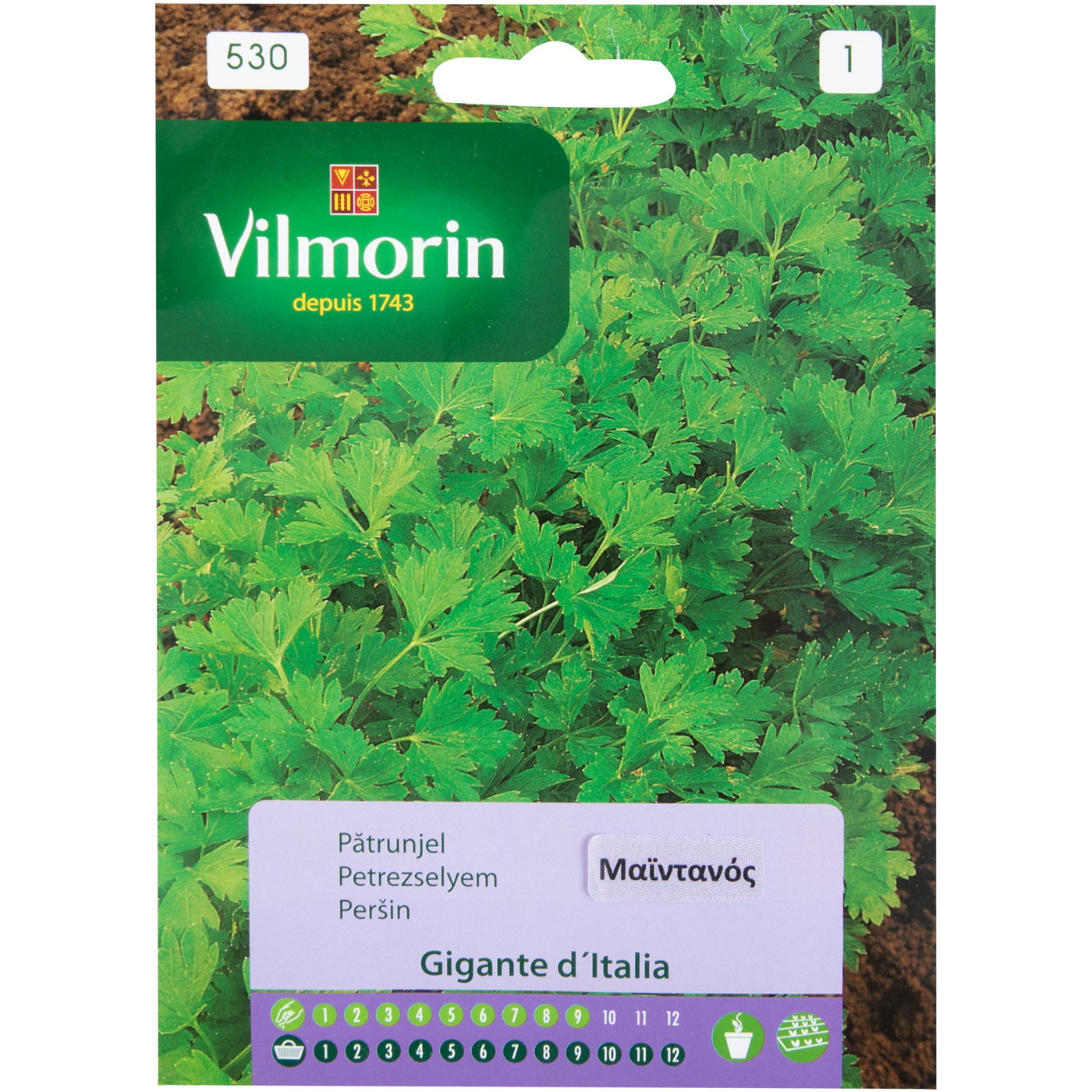 Σπόροι VILMORIN μαϊντανός γίγας gigante d'italia - floating thumbnail