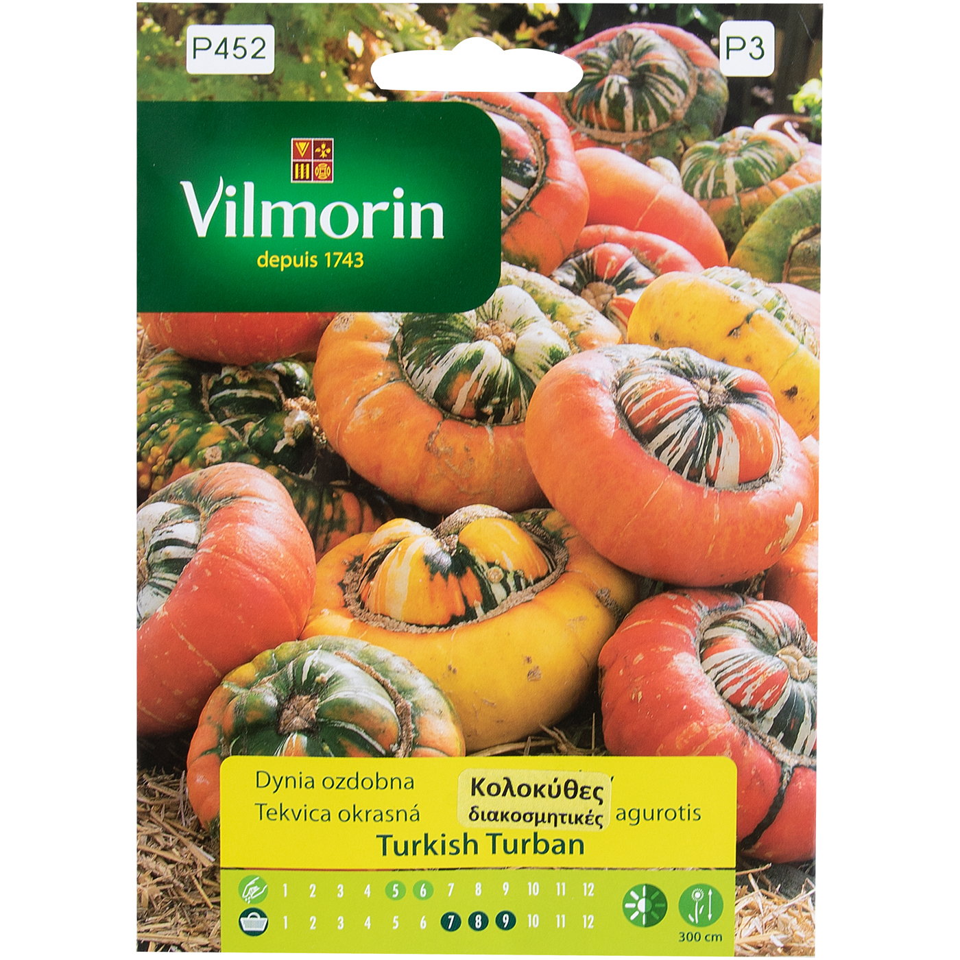 Σπόροι VILMORIN κολοκύθα διακοσμητική turban - floating thumbnail