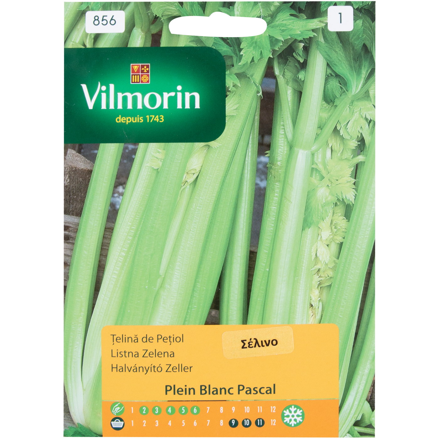 Σπόροι VILMORIN σέλινο plein blanc pascal - floating thumbnail